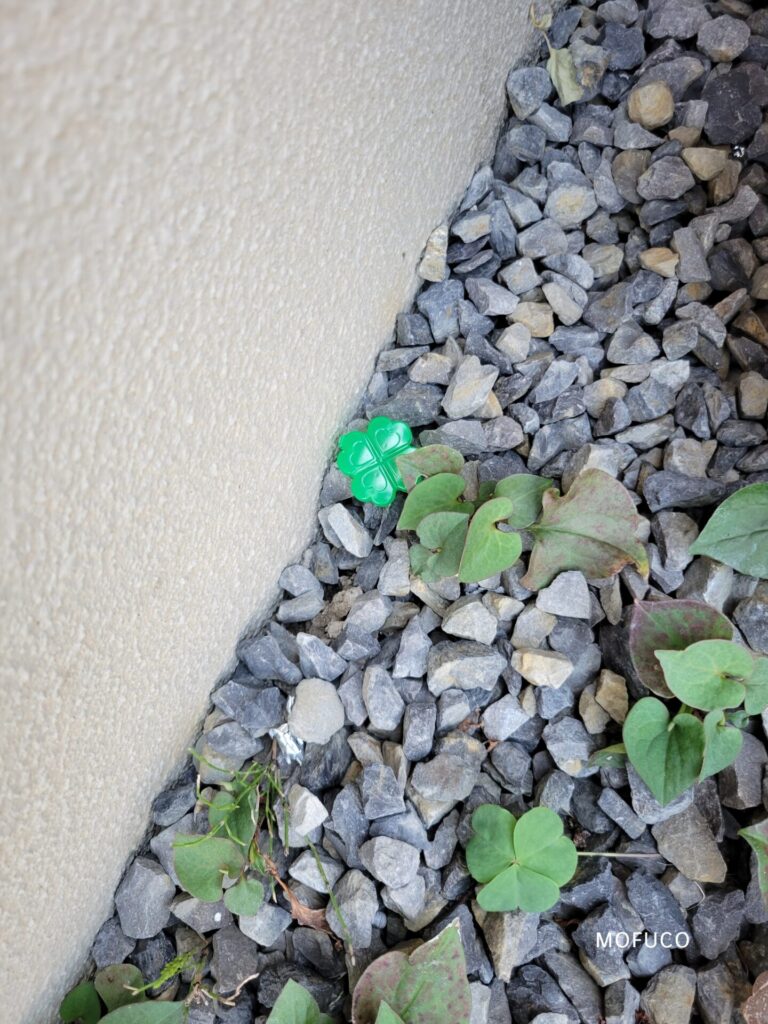 外にも置いた